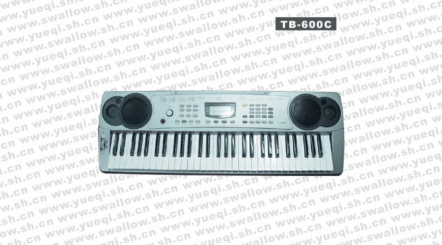 吟飞(RINGWAY)TB-600C型61键电子琴