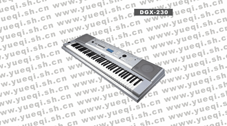 雅马哈(电子琴)(YAMAHA)DGX-230型76键电子琴