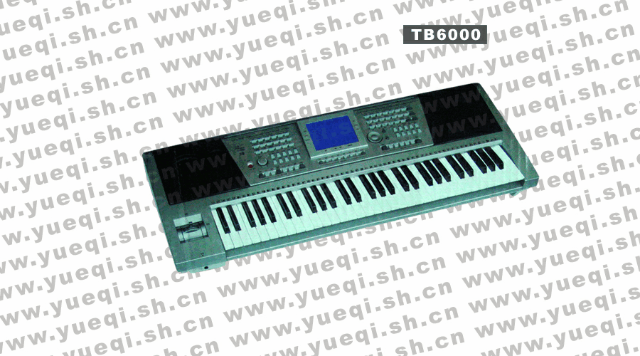 吟飞(RINGWAY)TB6000型61键电子琴