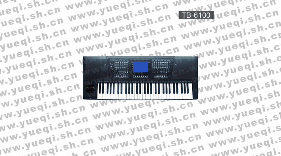 吟飞(RINGWAY)TB-6100型61键电子琴