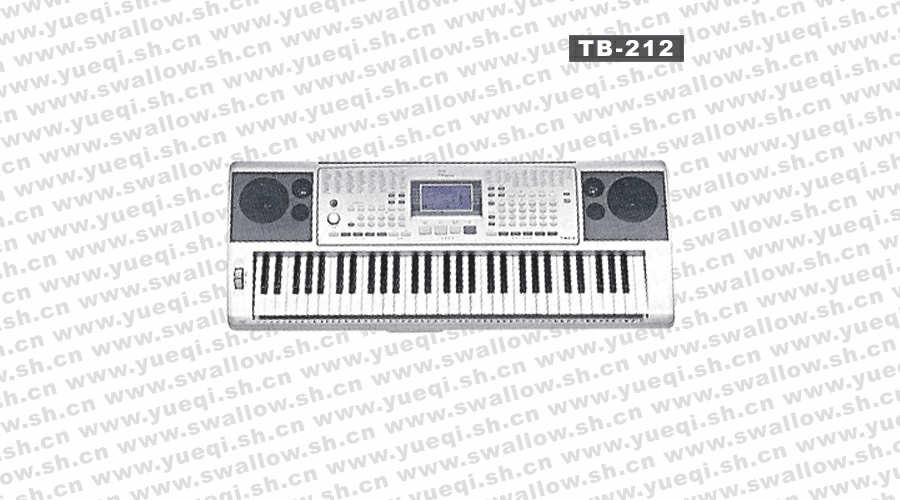 吟飞(RINGWAY)TB212型61键电子琴