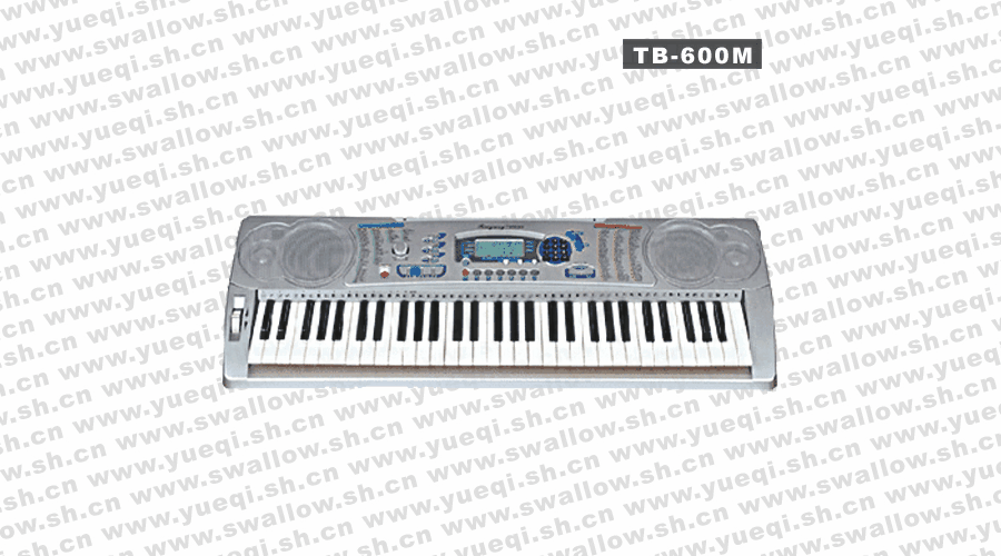 吟飞(RINGWAY)TB600M型61键电子琴